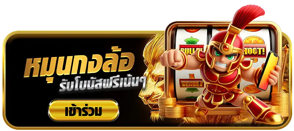 แบนเนอร์ 5